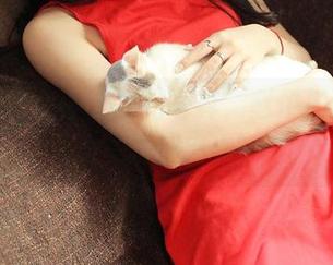 TGOD推女神 - 短裙写真，赵伊彤诠释何为“清新出挑”