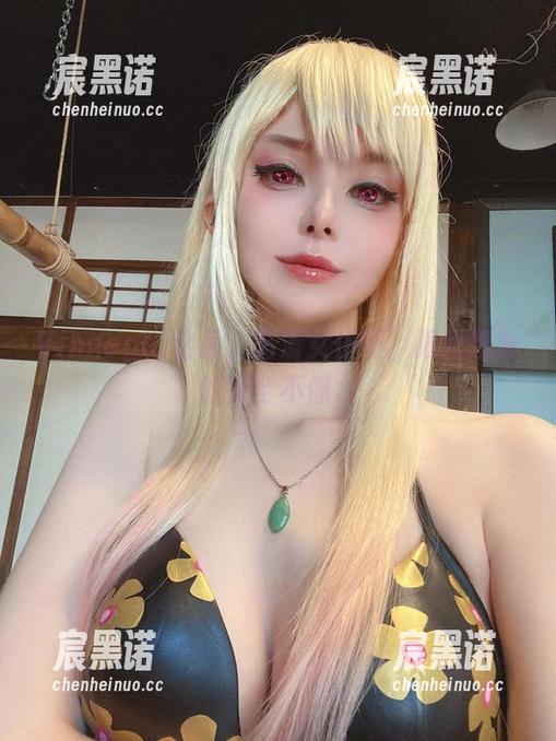Vinnegal出品，高清女仆照，跟我想象的完全不像。